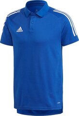 Футболка для мужчин Adidas цена и информация | Мужская спортивная одежда | 220.lv