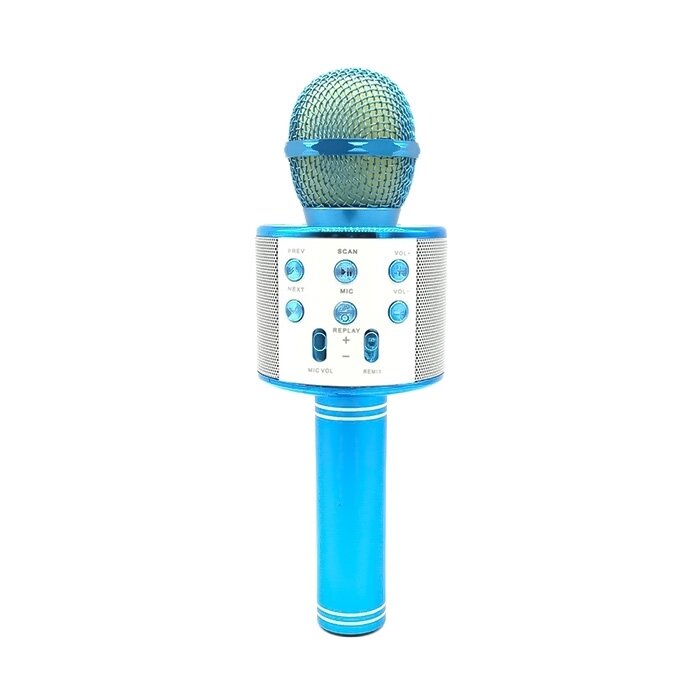 Mikrofons ar balss maiņas efektiem cena un informācija | Attīstošās rotaļlietas | 220.lv