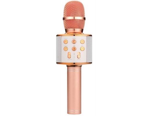 Mikrofons ar balss maiņas efektiem cena un informācija | Attīstošās rotaļlietas | 220.lv