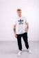 T-krekls vīriešiem Adidas Trefoil White CW0710, balts cena un informācija | Vīriešu T-krekli | 220.lv