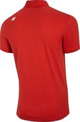 T-krekls vīriešiem 4F cena un informācija | Vīriešu T-krekli | 220.lv