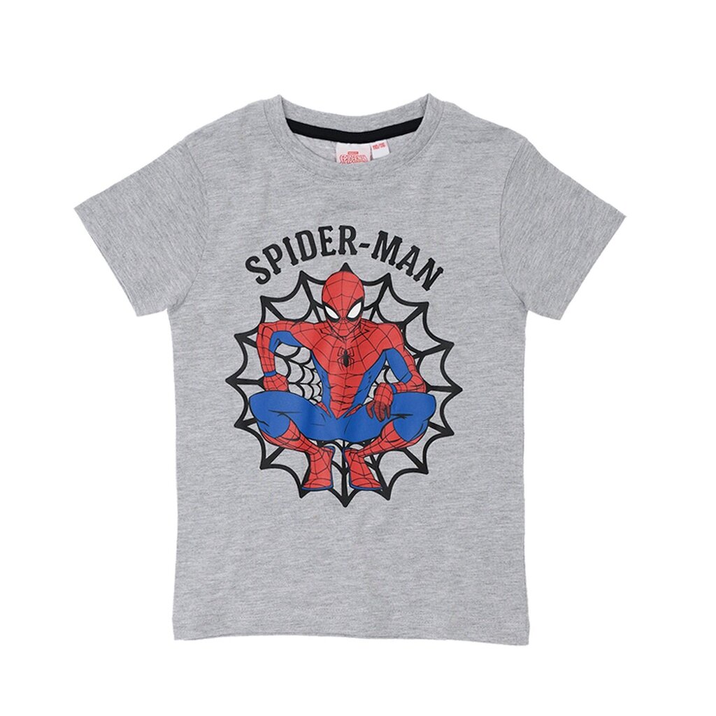 Bērnu t-krekls Spiderman, pelēks cena un informācija | Zēnu krekli | 220.lv