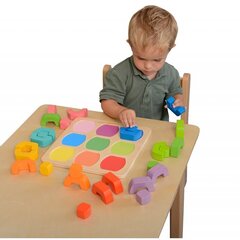 Izglītojoša krāsu spēle cena un informācija | Attīstošās rotaļlietas | 220.lv