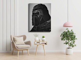 POLYamory - Kylo Ren, Star Wars Star Wars - audekla glezna 40x50 cm цена и информация | Картины | 220.lv