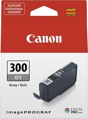 Canon 4200C001, pelēks cena un informācija | Tintes kārtridži | 220.lv