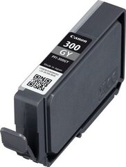 Canon 4200C001, серый цена и информация | Картриджи для струйных принтеров | 220.lv