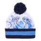 Cepure, Cimdi un Kakla Sildītājs Frozen Zils cena un informācija | Cepures, cimdi, šalles meitenēm | 220.lv