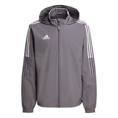 Джемпер мужской Adidas цена и информация | Мужская спортивная одежда | 220.lv