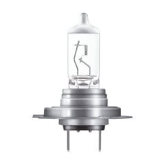 Automašīnas spuldze Osram 64210NBS-01B H7 12V 55W цена и информация | Автомобильные лампочки | 220.lv