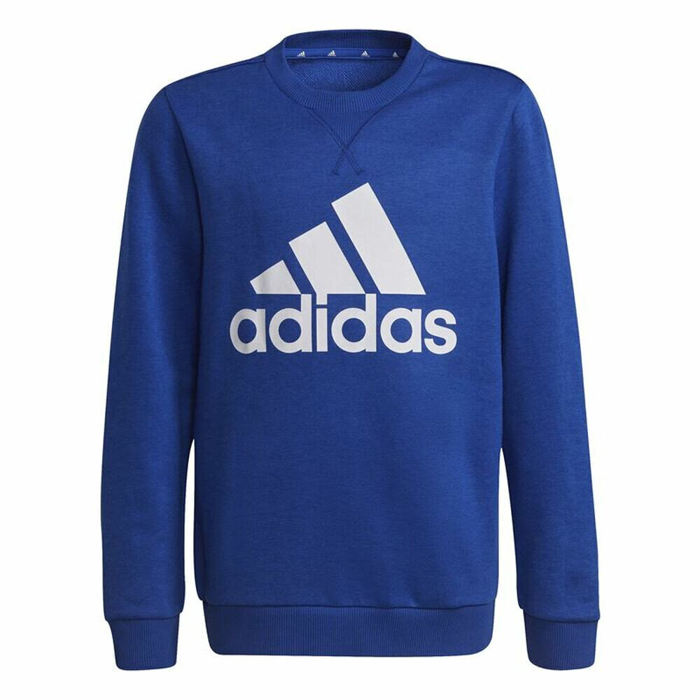 Bērnu džemperis Adidas Essentials Big Logo, zils S6434065 cena un informācija | Zēnu jakas, džemperi, žaketes, vestes | 220.lv