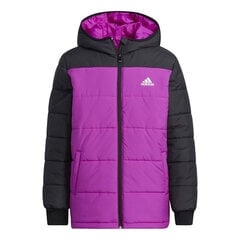 Bērnu sporta jaka Adidas Padded, violeta S6434563 cena un informācija | Zēnu jakas, džemperi, žaketes, vestes | 220.lv