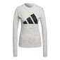 Sieviešu T-krekls ar garām piedurknēm Adidas Icons Winners 2.0, balts S6433491 цена и информация | Sporta apģērbs sievietēm | 220.lv