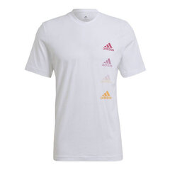 Vīriešu T-krekls ar īsām piedurknēm Adidas Essentials Gradient, balts S6433980 cena un informācija | Sporta apģērbs vīriešiem | 220.lv