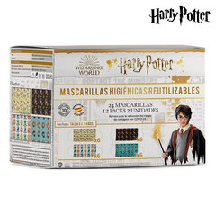 Гигиеническая маска Harry Potter (24 шт.) цена и информация | Первая помощь | 220.lv