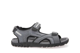 Geox vīriešu sandales MO SANDAL STRADA цена и информация | Мужские шлепанцы, босоножки | 220.lv