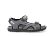 Geox vīriešu sandales MO SANDAL STRADA cena un informācija | Vīriešu iešļūcenes, čības, sandales | 220.lv