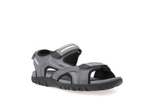 Geox vīriešu sandales MO SANDAL STRADA cena un informācija | Geox Apģērbi, apavi, aksesuāri | 220.lv