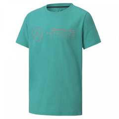 Детская футболка с коротким рукавом Puma LOGO TEE 598444 05, зеленая (14) S2018767 цена и информация | Рубашки для мальчиков | 220.lv