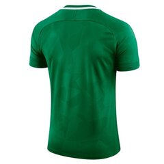 Sporta krekls vīriešiem Nike NK Dry Challenge II JSY SS M 893964-341, zaļš cena un informācija | Sporta apģērbs vīriešiem | 220.lv