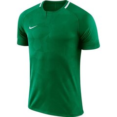 Sporta krekls vīriešiem Nike NK Dry Challenge II JSY SS M 893964-341, zaļš cena un informācija | Sporta apģērbs vīriešiem | 220.lv