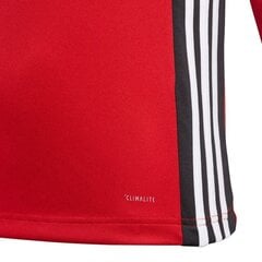 Джемпер Adidas для мальчиков, CZ8656, 45245 цена и информация | Свитеры, жилетки, пиджаки для мальчиков | 220.lv