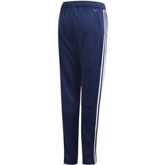 Спортивные штаны детские Adidas Tiro 19 Training Junior DT5177, синий (45748) цена и информация | Штаны для мальчика ABN-2894/CZA/098 | 220.lv