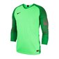 Sporta krekls zēniem Nike JR Gardien II GK LS JR 898046-398, 47980, zaļš cena un informācija | Zēnu krekli | 220.lv