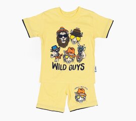 Комплект для мальчиков цена и информация | Рубашки для мальчиков | 220.lv