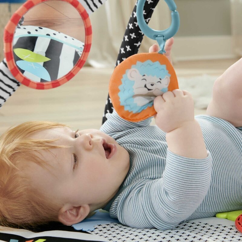 Aktivitāšu paklājiņš ar izgaismotu un skanošu dzīvnieku Fisher Price, HBP41 Fisher Price, HBP41 цена и информация | Attīstošie paklājiņi | 220.lv