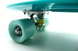 Skrituļdēlis Pennyboard ar rokturi, 60 cm cena un informācija | Skrituļdēļi | 220.lv