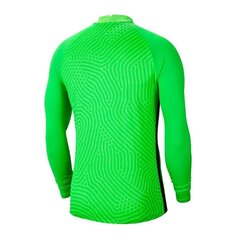 Sporta T-krekls zēniem Nike Gardien III GK LS BV6743-398 (54497) cena un informācija | Zēnu krekli | 220.lv