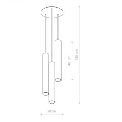 Nowodvorski Lighting piekaramā lampa Eye L 8916 цена и информация | Люстры | 220.lv