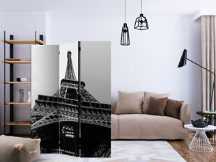 3-daļīgs aizslietnis - Paris Giant [Room Dividers] cena un informācija | Aizslietņi | 220.lv