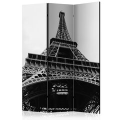 3-daļīgs aizslietnis - Paris Giant [Room Dividers] cena un informācija | Aizslietņi | 220.lv