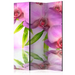 3-daļīgs aizslietnis - Orchid Spa [Room Dividers] cena un informācija | Aizslietņi | 220.lv