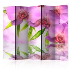 5-daļīgs aizslietnis - Orchid Spa II [Room Dividers] cena un informācija | Aizslietņi | 220.lv