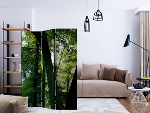 3-daļīgs aizslietnis - Spring in the Park [Room Dividers] cena un informācija | Aizslietņi | 220.lv