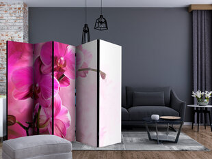 5-daļīgs aizslietnis - Pink Orchid II [Room Dividers] cena un informācija | Aizslietņi | 220.lv