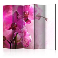 5-daļīgs aizslietnis - Pink Orchid II [Room Dividers] cena un informācija | Aizslietņi | 220.lv