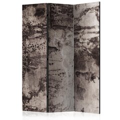 3-daļīgs aizslietnis - Old Metal [Room Dividers] cena un informācija | Aizslietņi | 220.lv