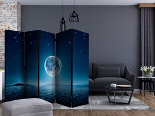 5-daļīgs aizslietnis - Moonlit night II [Room Dividers] cena un informācija | Aizslietņi | 220.lv