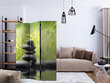 3-daļīgs aizslietnis - Serenity of nature [Room Dividers] cena un informācija | Aizslietņi | 220.lv