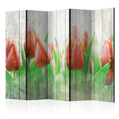 5-daļīgs aizslietnis - Red tulips on wood II [Room Dividers] cena un informācija | Aizslietņi | 220.lv