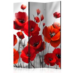 3-daļīgs aizslietnis - Poppies in the Moonlight [Room Dividers] cena un informācija | Aizslietņi | 220.lv