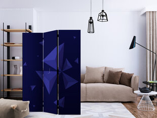 3-daļīgs aizslietnis - Meteor shower [Room Dividers] cena un informācija | Aizslietņi | 220.lv