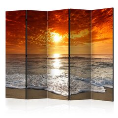 5-daļīgs aizslietnis - Marvelous sunset II [Room Dividers] cena un informācija | Aizslietņi | 220.lv