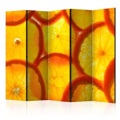 5-daļīgs aizslietnis - Orange slices II [Room Dividers] cena un informācija | Aizslietņi | 220.lv