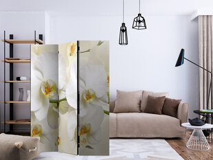 3-daļīgs aizslietnis - Orchid Branch [Room Dividers] cena un informācija | Aizslietņi | 220.lv