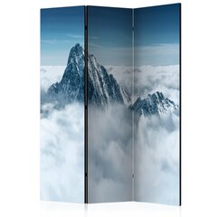 3-daļīgs aizslietnis - Mountain in the clouds [Room Dividers] cena un informācija | Aizslietņi | 220.lv