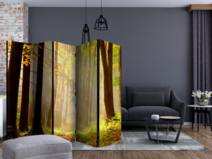 5-daļīgs aizslietnis - Mysterious forest path II [Room Dividers] cena un informācija | Aizslietņi | 220.lv